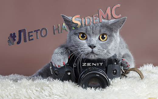 #Лето на SideMC #Лето на SideMC